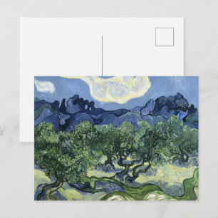 Postal Olivos de Van Gogh - Arte Montaña Azul