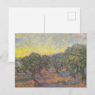 Postal Olivos de Van Gogh Cielo Amarillo Arte