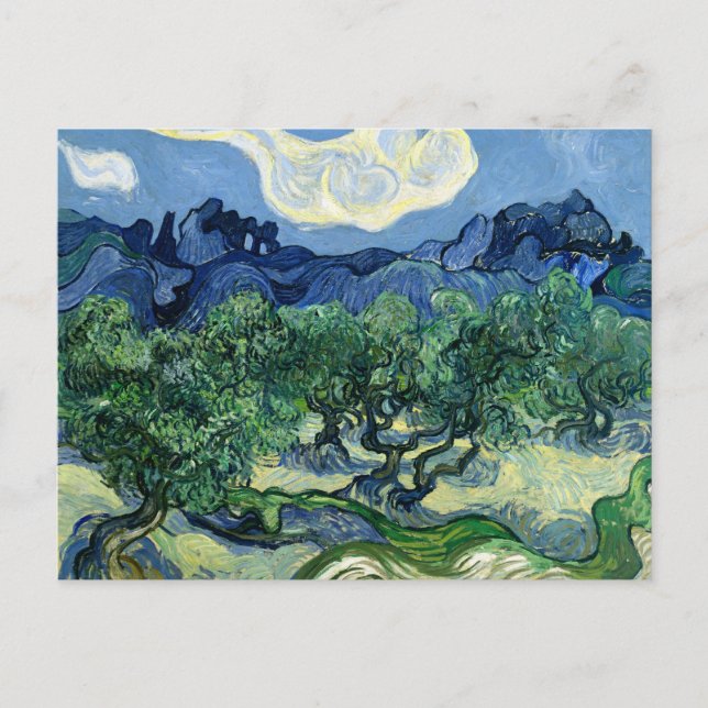 Postal Olivos de Vincent van Gogh (Anverso)