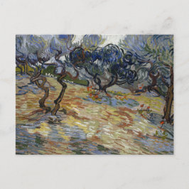 Postal Olivos de Vincent Van Gogh