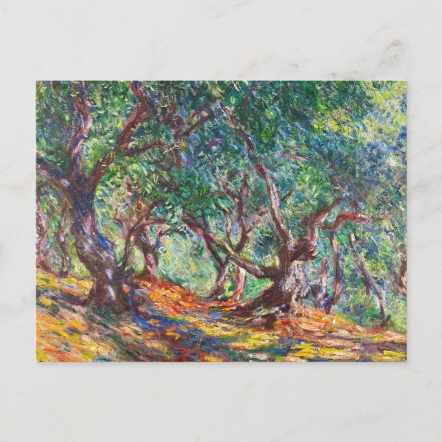 Postal Olivos en Bordighera, 1884 Claude Monet (Anverso)