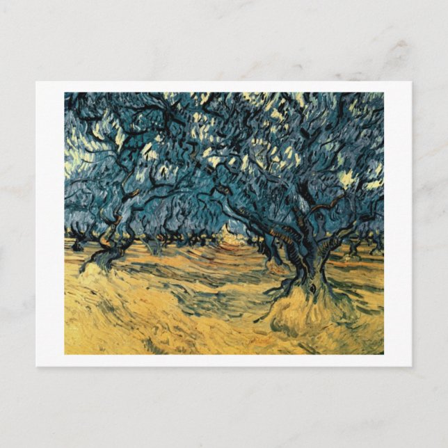 Postal Olivos, Vincent van Gogh (Anverso)