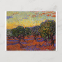 Olivos: Vincent Van Gogh