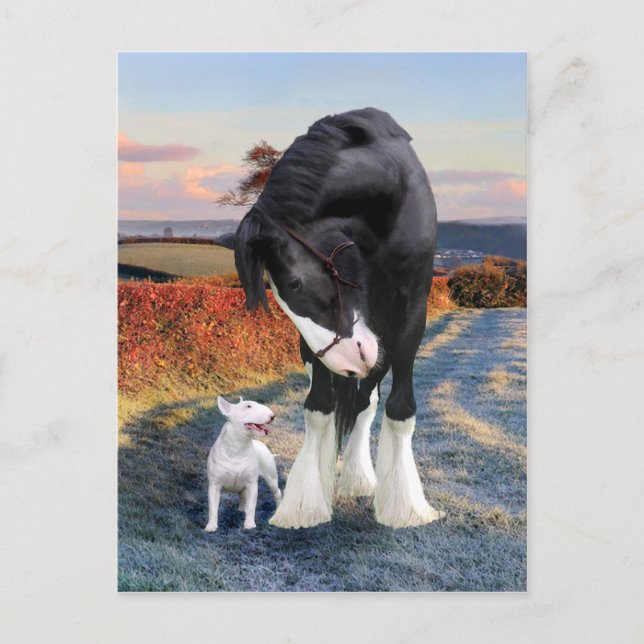 Postal "Ollie & Blackbird"