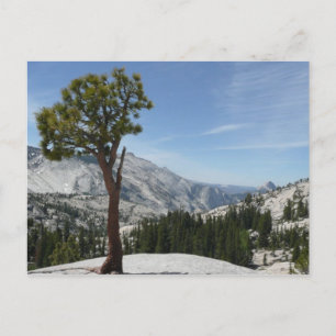 Postal Olmsted Point I en el Parque Nacional Yosemite