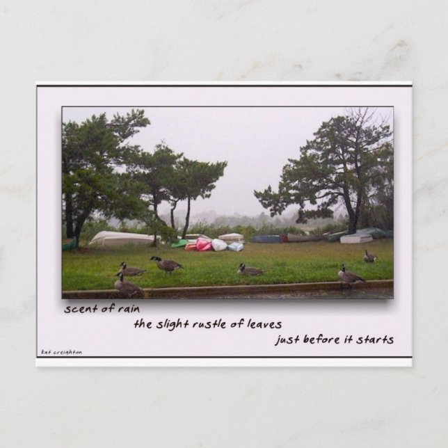Postal Olor a la lluvia (Anverso)