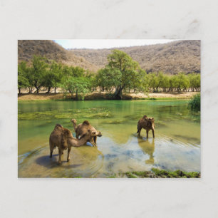 Postal Omán, Wadi darbat