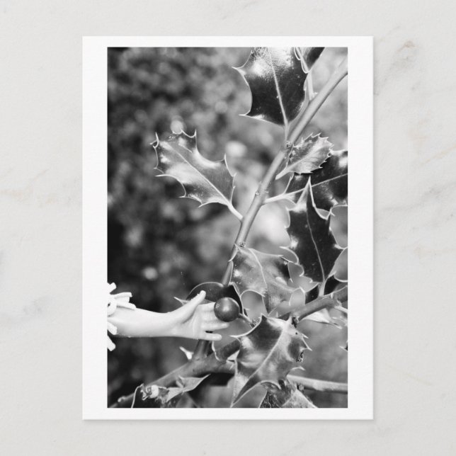 Postal Once upon a time in the woods (Anverso)