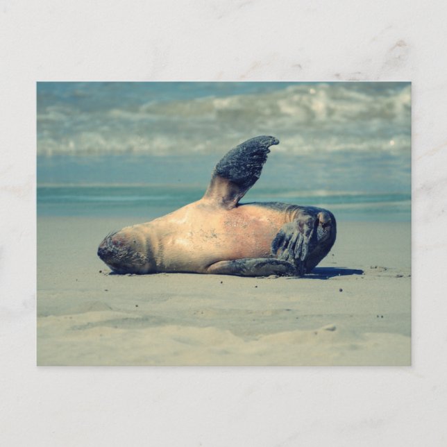 Postal Onda de sellado (Anverso)