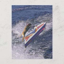 Postal Ondas de salto de Guay Lab