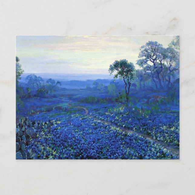 Postal Onderdonk - Paisaje de Bluebonnet con Cacti, Road, (Anverso)