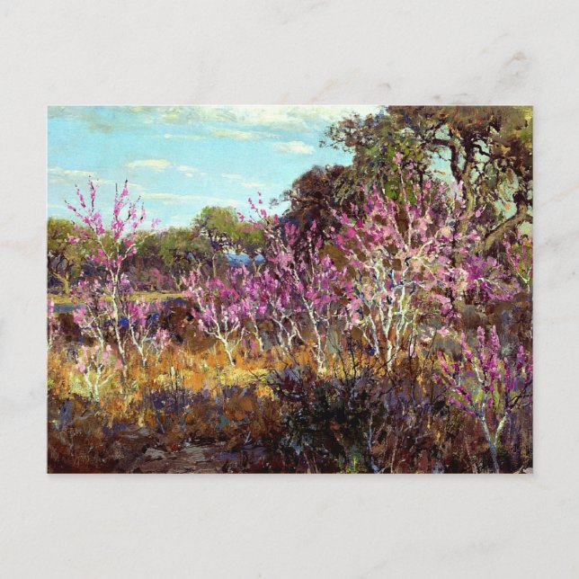 Postal Onderdonk - Rosebud Tree en Bloom en Leon Springs, (Anverso)