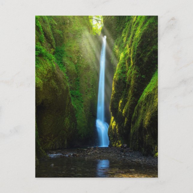 Postal Oneonta Falls (Anverso)