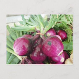 Postal Onion Bundle