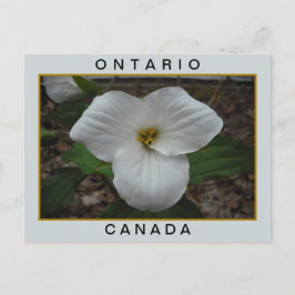 Postal Ontario, Canadá Trillium
