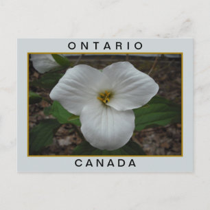 Postal Ontario, Canadá Trillium