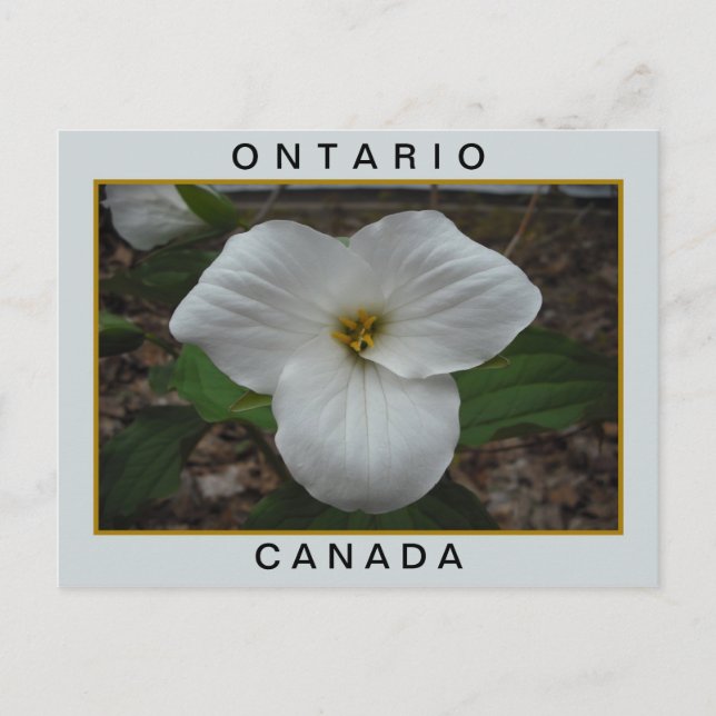 Postal Ontario, Canadá Trillium (Anverso)