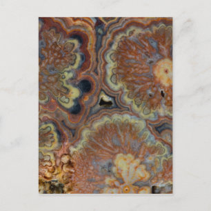 Postal Onyx de tubo de flores