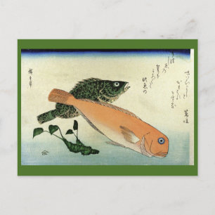 Postal Oomon-hata y Shiro-amadai - Impresión de pescado d