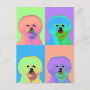 Postal Op Art - Bichon Frise - Cody