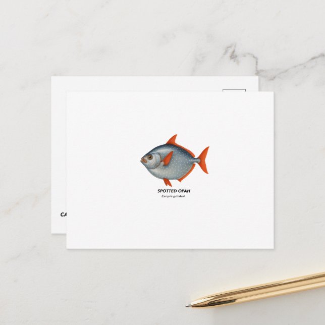 Postal Opah visto - Animales marinos de California (Anverso/Reverso In Situ)