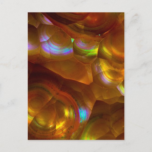 Postal Opal de fuego naranja iridiscente (Anverso)