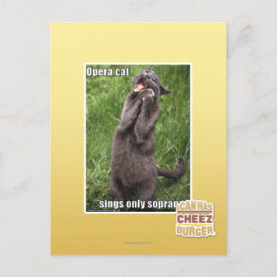 Postal Opera Cat