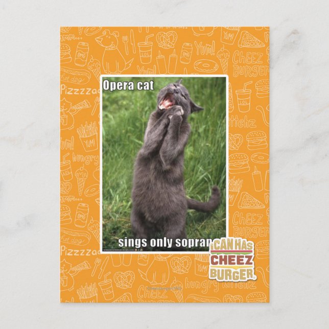 Postal Opera Cat (Anverso)