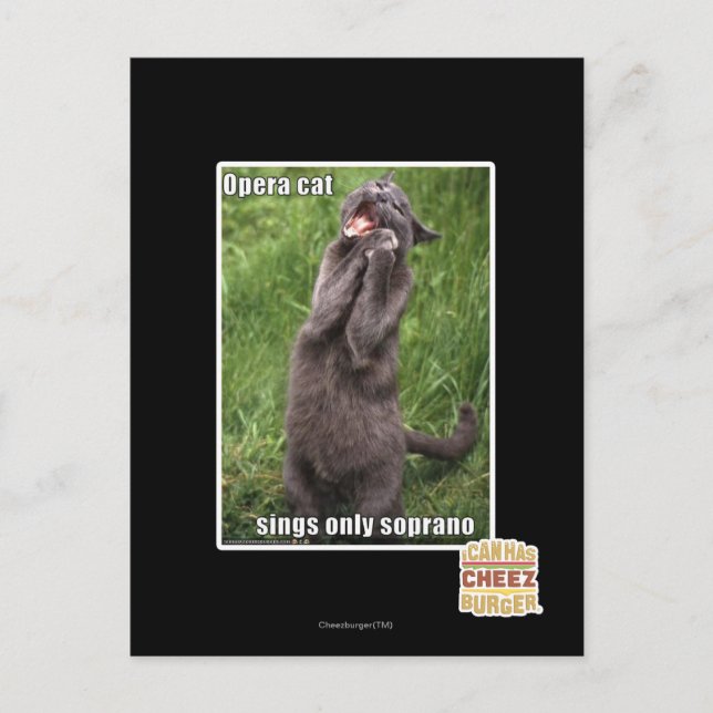 Postal Opera Cat (Anverso)