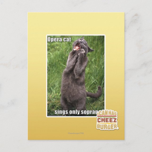 Postal Opera Cat (Anverso)