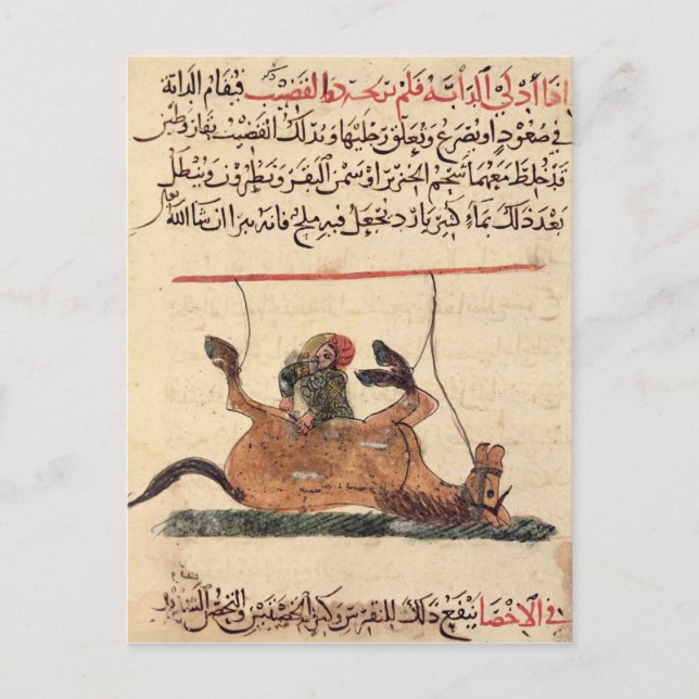 Postal Operación en un caballo, ilustracion (Anverso)