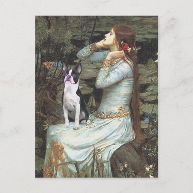 Postal Ophelia &- Boston Terrier (Anverso)