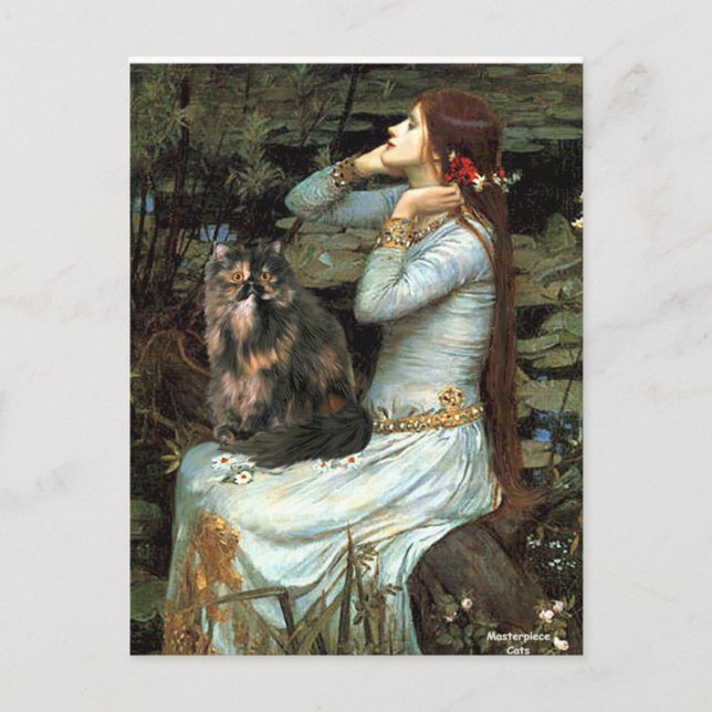 Postal Ophelia - gato calico persa (Anverso)