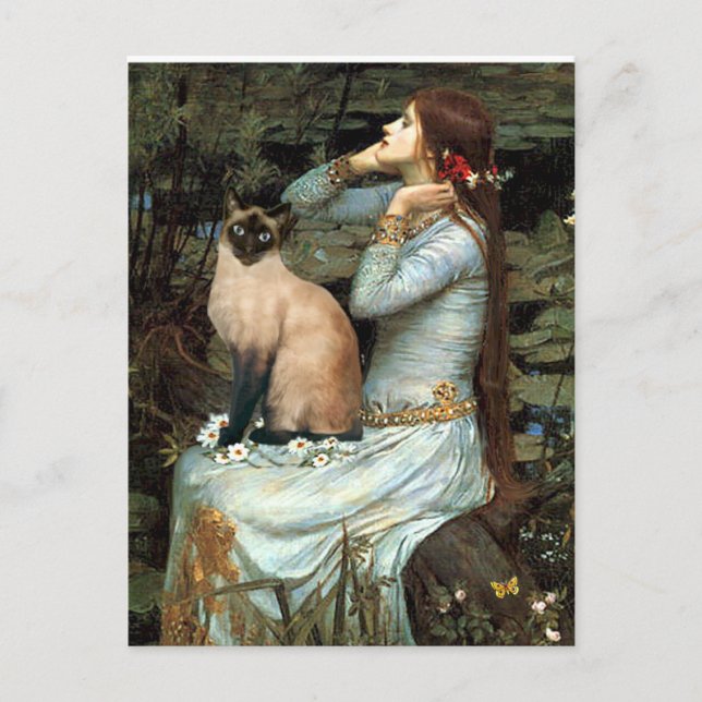 Postal Ophelia - Gato siamés de punto de foco (Anverso)