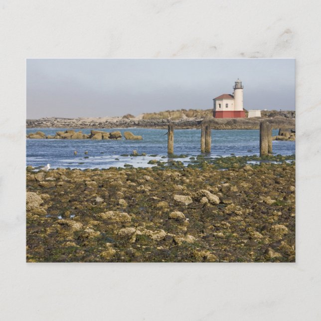 Postal OR, Costa de Oregón, Bandon, Río Coquille (Anverso)