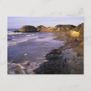 Postal OR, Costa de Oregón, Newport, costa en Seal