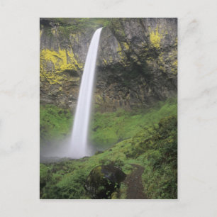 Postal OR, desfiladero del río Columbia, cascadas de Elow
