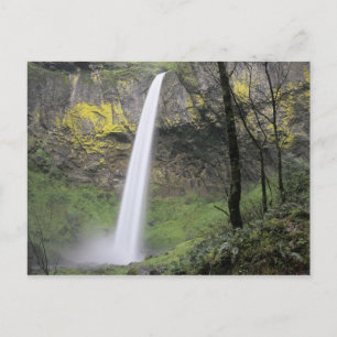 Postal OR, desfiladero del río Columbia, Elowah Falls, Mc