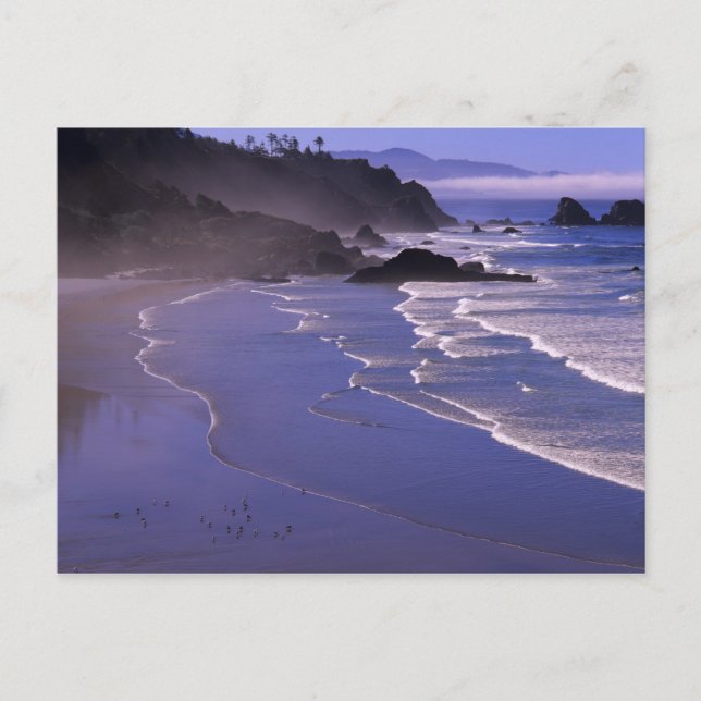 Postal OR, Oregon Coast, Ecola SP, Indian Beach con (Anverso)