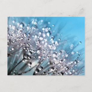 Postal Oración de serenidad Sparkling Dew Sky Blue Backgr