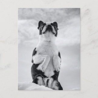 Postal Oración del territorio de Boston