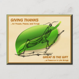 Postal Orando a Mantis dando gracias