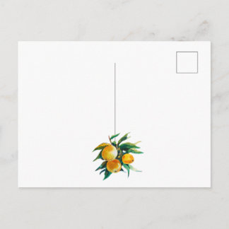 Postal Oranges and flowers postcard