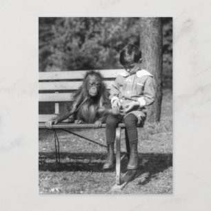 Postal Orangutan y Boy - Zoológico Nacional