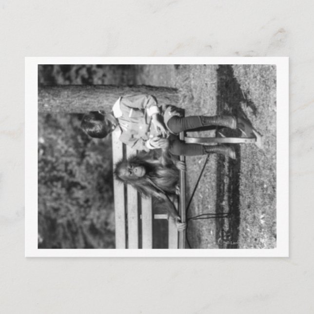 Postal Orangutan y niño en la fotografía nacional del zoo (Anverso)