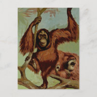 Orangutanes vintage en un árbol