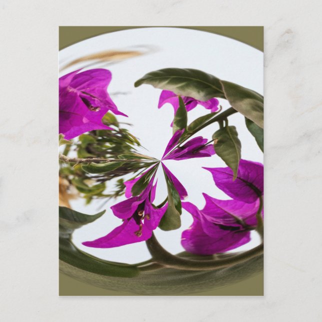 Postal Orb de flores moradas y blancas (Anverso)