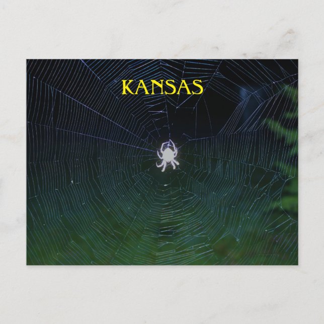 Postal Orb Weaver de noche (Anverso)