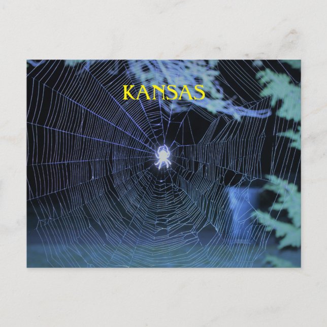 Postal Orb Weaver de noche (Anverso)