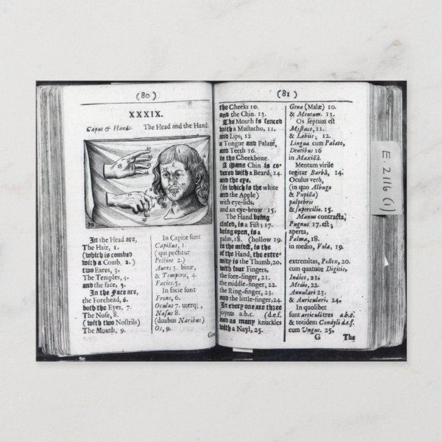 Postal 'Orbis Sensualium Pictus' (Anverso)